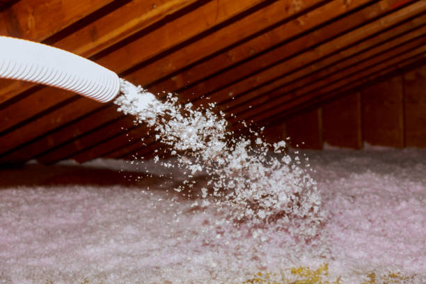 Best Insulation Installation Services in Pemberville, OH